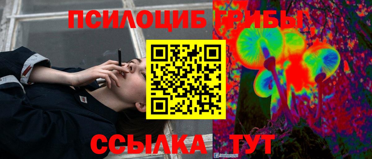 Галлюциногенные грибы MAGIC MUSHROOMS Гусиноозёрск