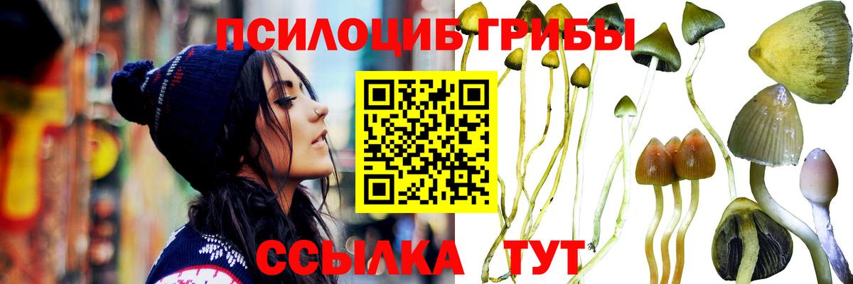 Гусиноозёрск  Галлюциногенные грибы Psilocybe  Галлюциногенные грибы ЛСД  Вход с VPN 
